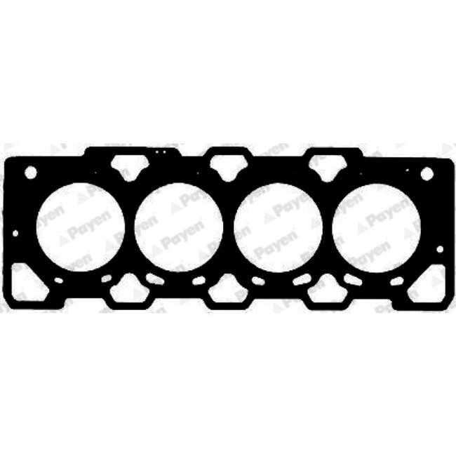 Joint De Culasse Payen Bz450