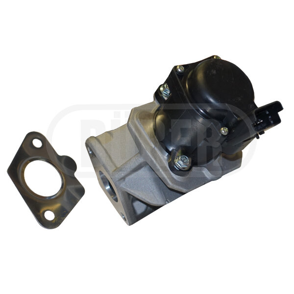 Vanne Egr Dürer Vr21142