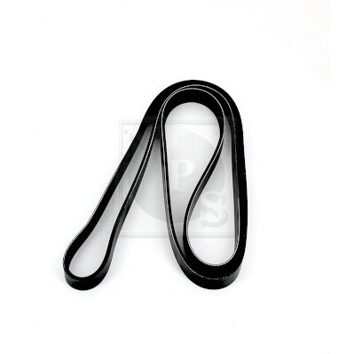 Courroie D'accessoires Nps I111u14