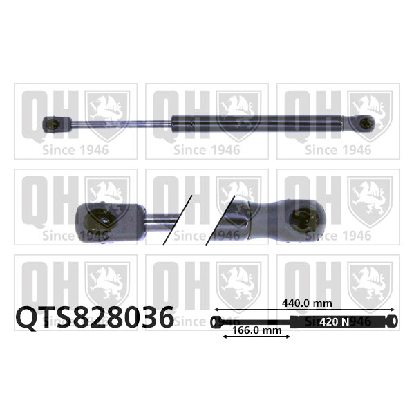 Vérin De Coffre Quinton Hazell Qts828036
