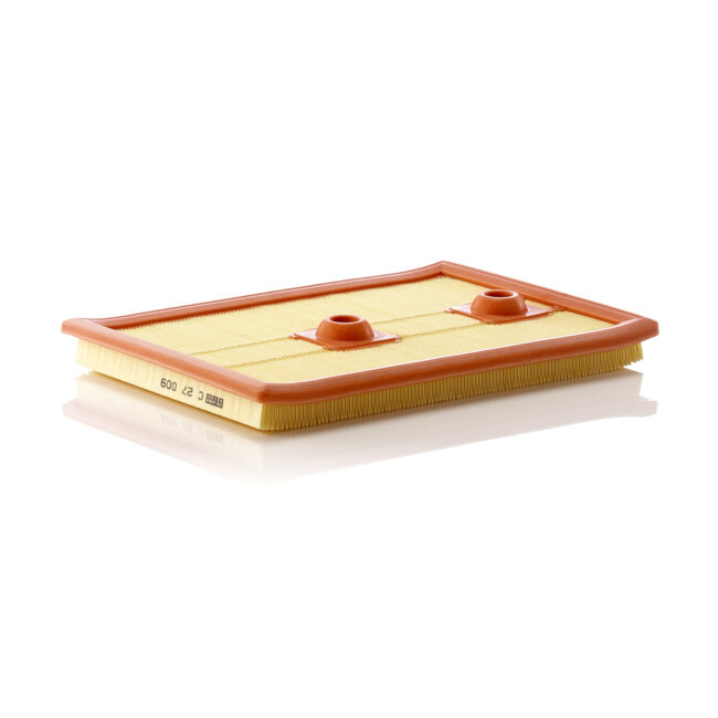 Filtre À Air Mann-filter