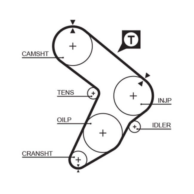 Courroie De Distribution Gates 5032