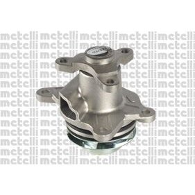 Pompe À Eau Metelli 24-1185