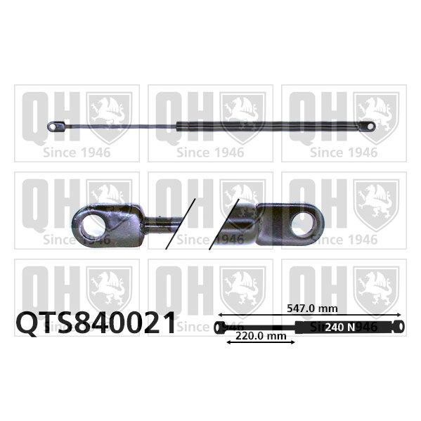 Vérin De Capot Quinton Hazell Qts840021