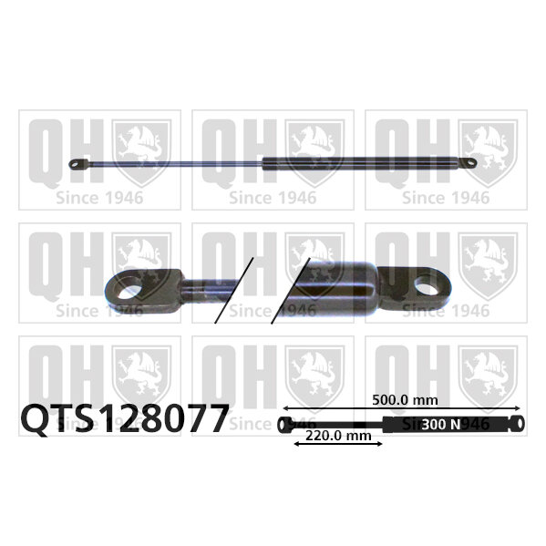 Vérin De Coffre Quinton Hazell Qts128077