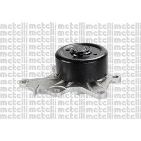 Pompe À Eau Metelli 24-1132