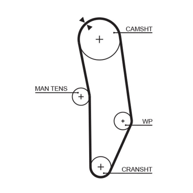 Courroie De Distribution Gates 5010