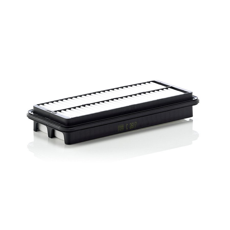 Filtre À Air Mann-filter C2617