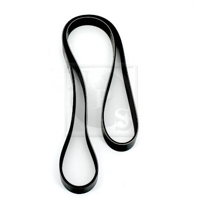 Courroie D'accessoires Nps H111a61