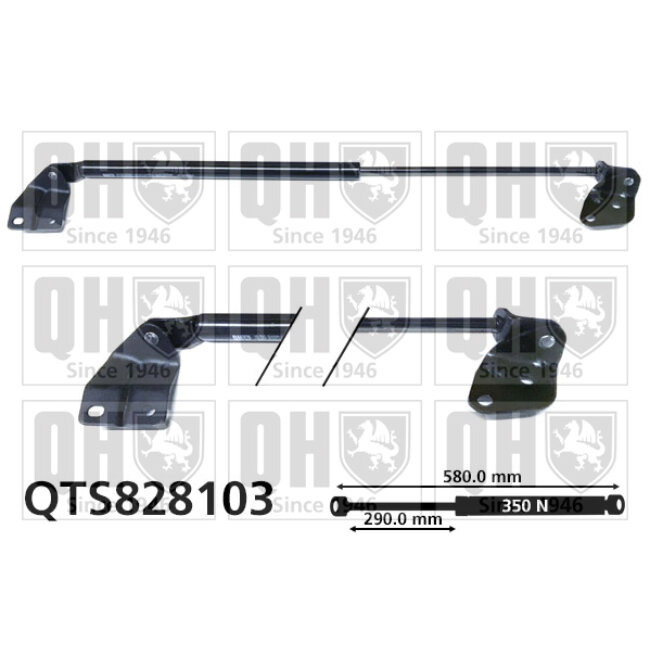 Vérin De Coffre Quinton Hazell Qts828103