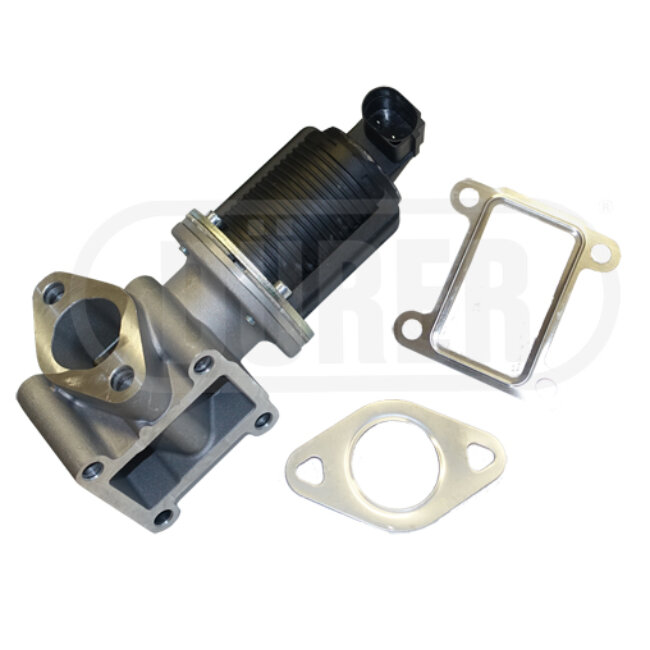 Vanne Egr Dürer Vr31116