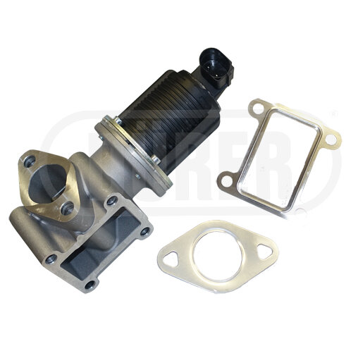 Vanne Egr Dürer Vr31116