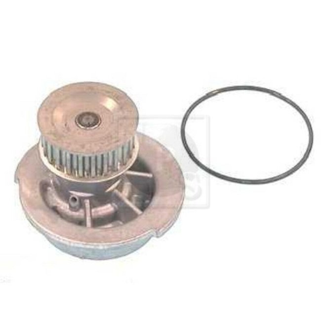 Pompe À Eau Nps D151o10