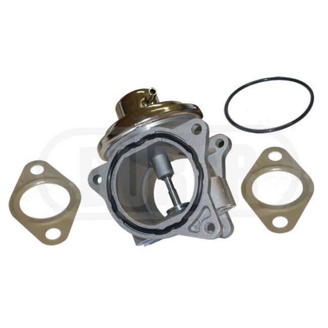 Vanne Egr Dürer Vr81118