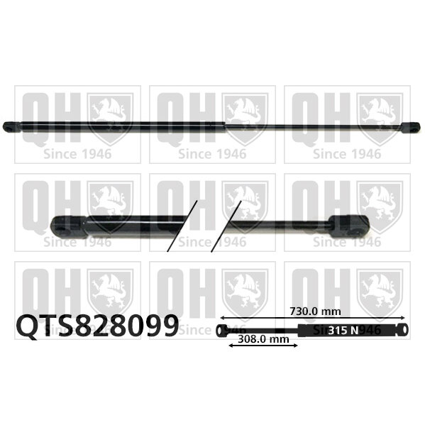 Vérin De Capot Quinton Hazell Qts828099