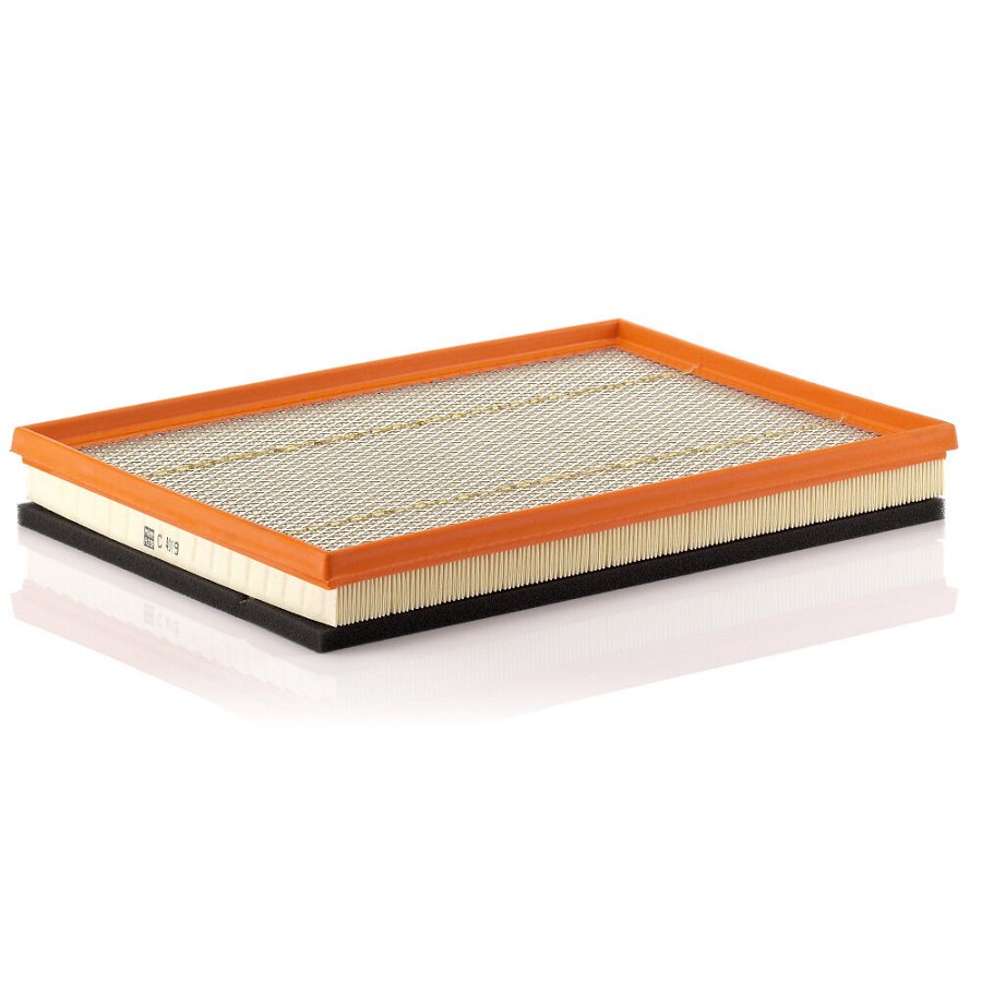 Filtre À Air Mann-filter C4019