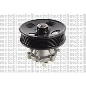 Pompe À Eau Metelli 24-1083