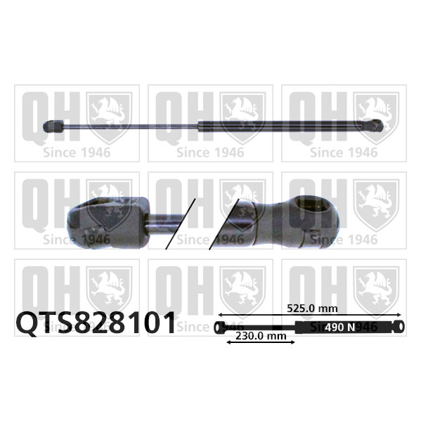 Vérin De Coffre Quinton Hazell Qts828101