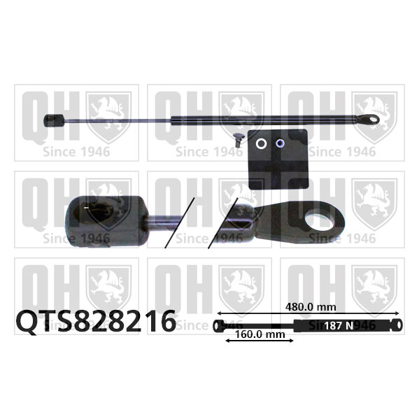 Vérin De Vitre Arrière Quinton Hazell Qts828216