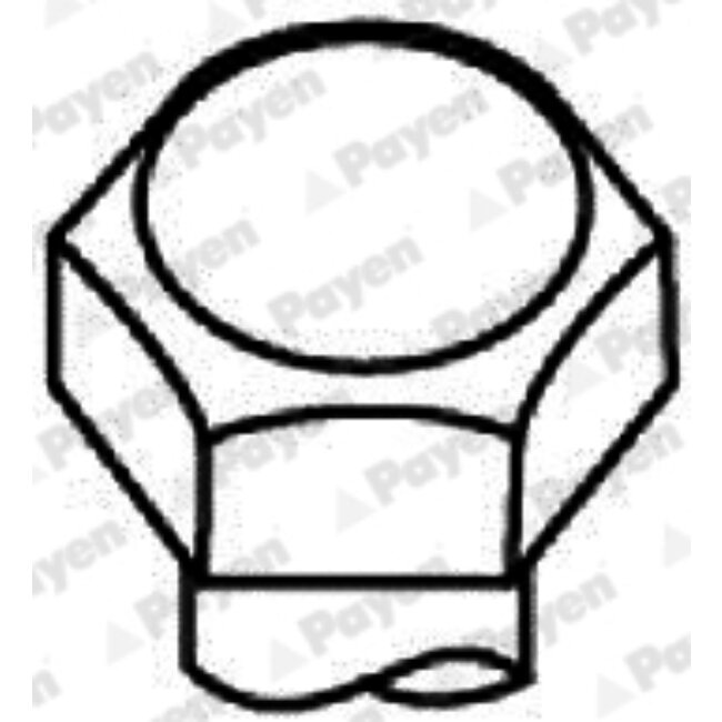 Jeu De Vis De Culasse Payen Hbs194