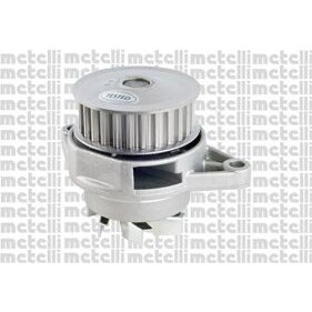 Pompe À Eau Metelli 24-0603
