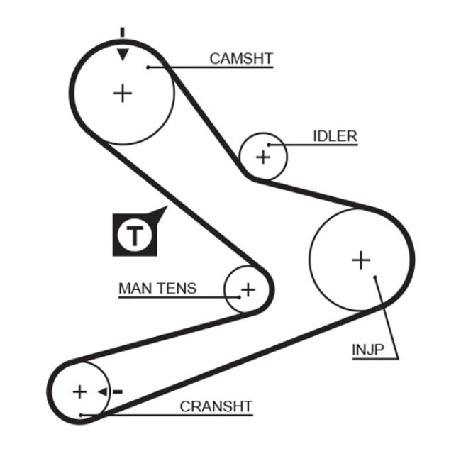 Courroie De Distribution Gates 5495xs