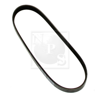 Courroie D'accessoires Nps I111u10