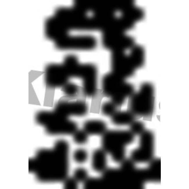 Collier Échappement Klarius 430178