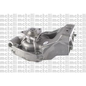 Pompe À Eau Metelli 24-0750