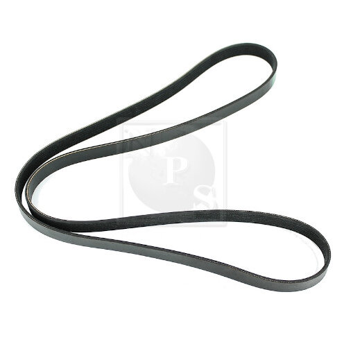 Courroie D'accessoires Nps H111i13