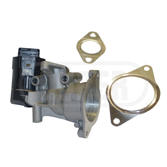 Vanne Egr Dürer Vr21144