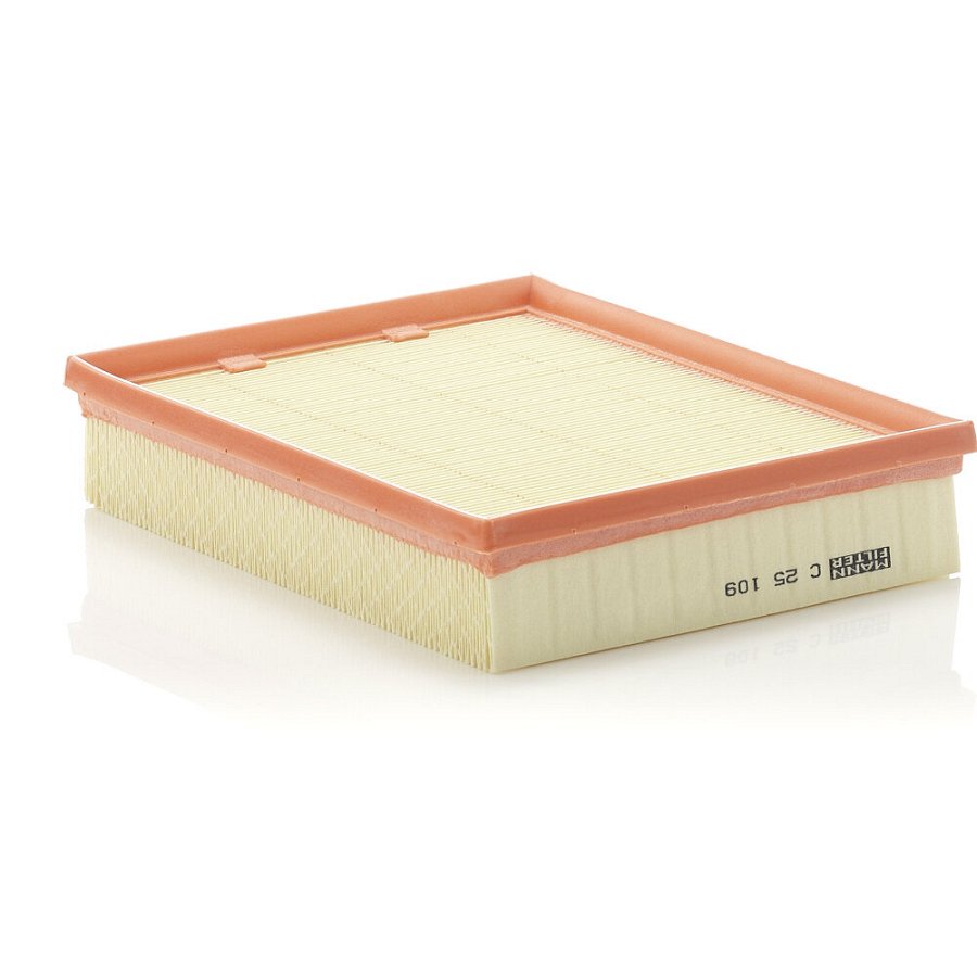 Filtre À Air Mann-filter C25109
