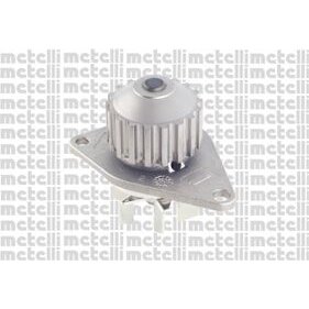 Pompe À Eau Metelli 24-0837