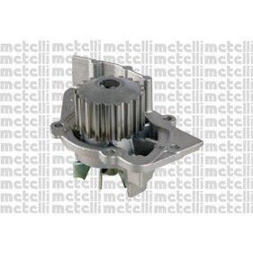 Pompe À Eau Metelli 24-0747