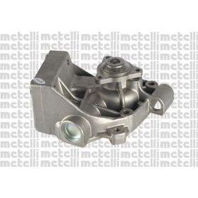 Pompe À Eau Metelli 24-0607