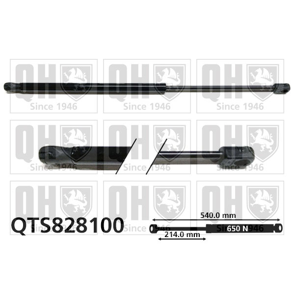 Vérin De Coffre Quinton Hazell Qts828100
