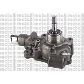 Pompe À Eau Metelli 24-0914