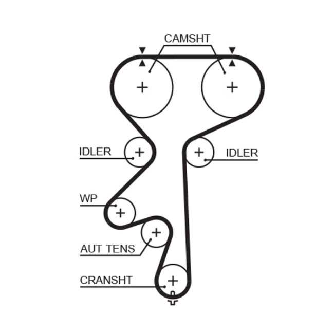 Courroie De Distribution Gates 5542xs
