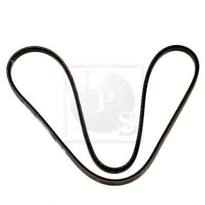 Courroie D'accessoires Nps I111u03