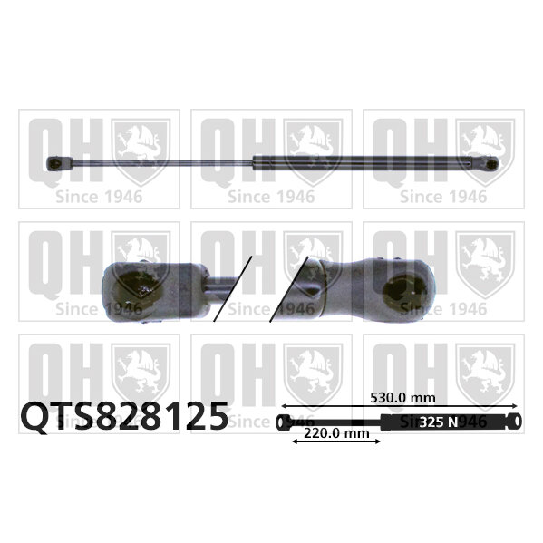 Vérin De Coffre Quinton Hazell Qts828125