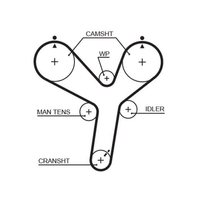 Courroie De Distribution Gates 5536xs