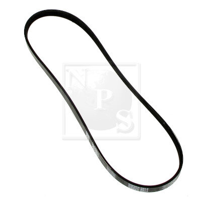 Courroie D'accessoires Nps I111u06