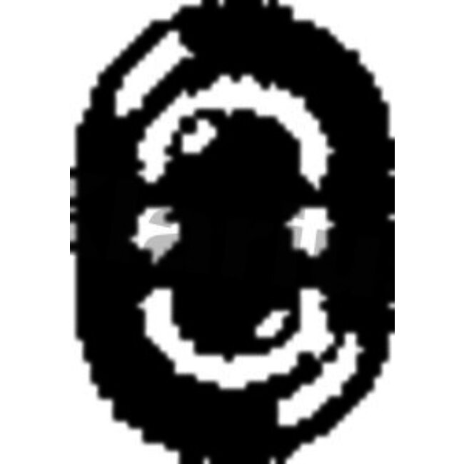 Joint Échappement Klarius 420171