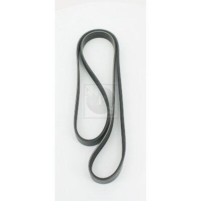 Courroie D'accessoires Nps T111a56
