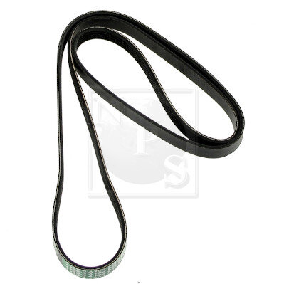 Courroie D'accessoires Nps S111i24