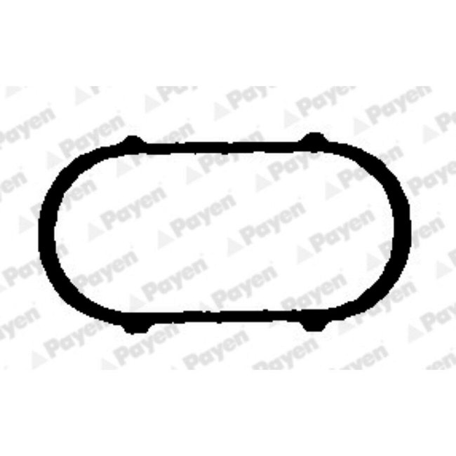 Joint D'étanchéité Collecteur D'admission Payen Jd493