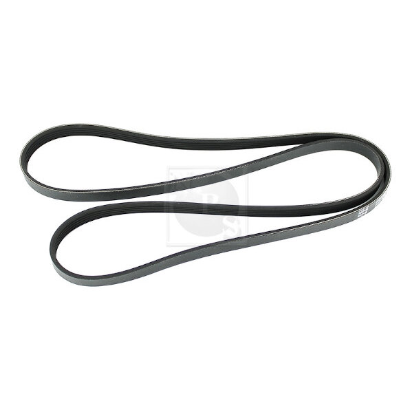 Courroie D'accessoires Nps H111i16