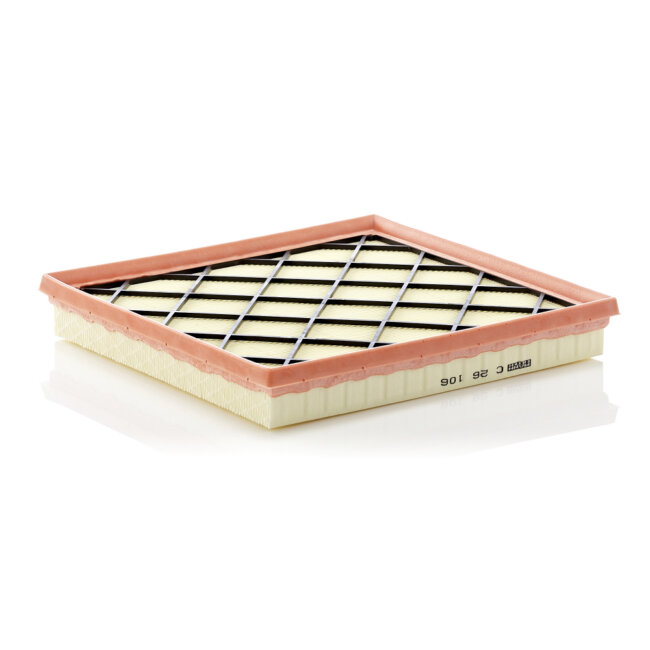 Filtre À Air Mann-filter