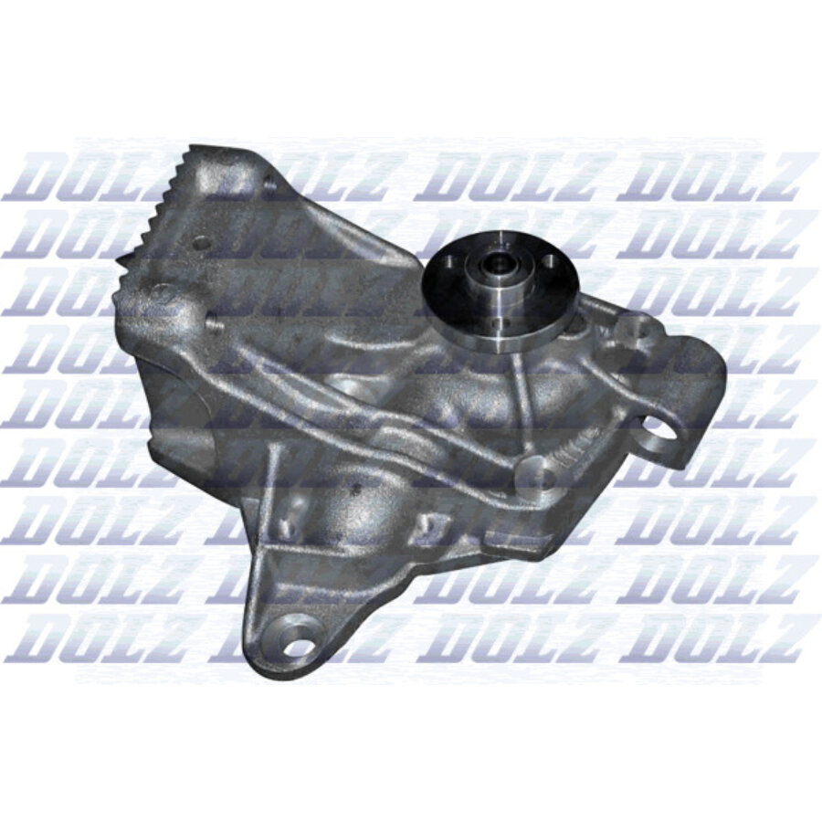 Pompe à eau DOLZ R221