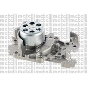 Pompe À Eau Metelli 24-0983